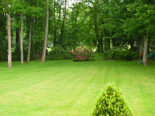 4 astuces pour avoir un beau jardin en été